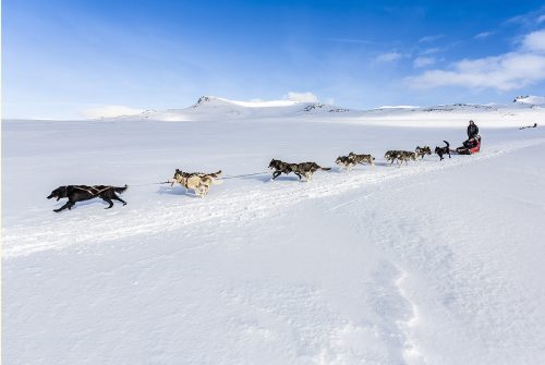 Auvergne Traîneau - Charlannes