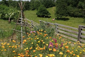 © Le Four à Pain de Moureuille - Giolat Juliette