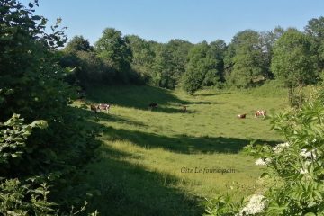 © Le Four à Pain de Moureuille - Giolat Juliette