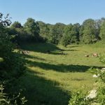 © Le Four à Pain de Moureuille - Giolat Juliette