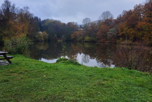 Site de pêche - Étang des Grelins
