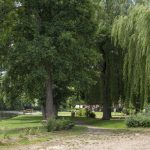 © Plan d'eau Ebreuil - OT VDS