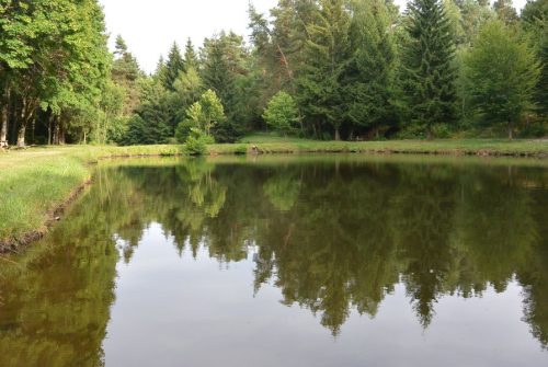 Site de pêche - Étang La Piscine
