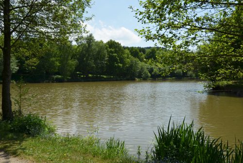 Randonnée - Étang Magaud