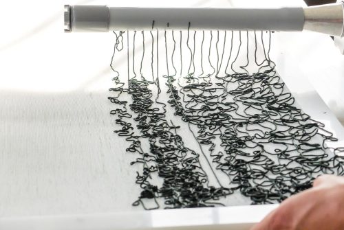 Spiruline des Volcans