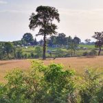 © Gîte Les Cerisiers - Vacances avec les chiens - Blom Remco