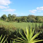 © Gîte Les Cerisiers - Vacances avec les chiens - Blom Remco