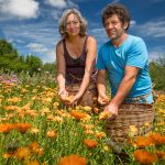 © Ouma Le Chemin des Plantes et produits en laine d'alpaga - Segretain