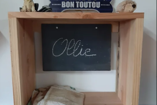 Pension canine - Le Domaine de la Myrtille