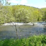 © Les Tressots - Les Tressots