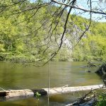 © Les Tressots - Les Tressots