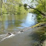 © Les Tressots - Les Tressots