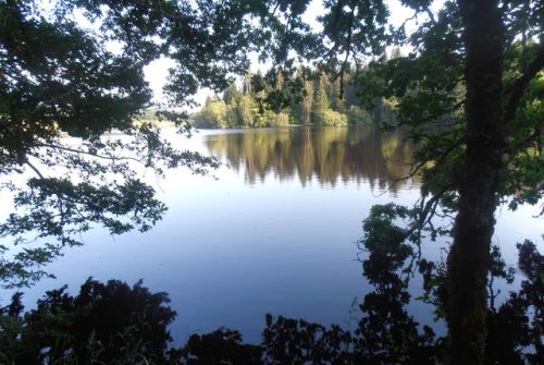 L'étang de Malganne