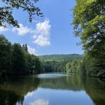 © Domaine Juchlo Puy-Saint-Gulmier - Collange Caroline