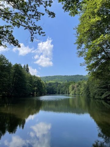 © Domaine Juchlo Puy-Saint-Gulmier - Collange Caroline