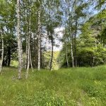 © Domaine Juchlo - Collange Caroline