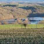 © Meublé Macé - Macé Jeanne