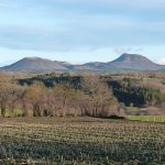 © Meublé Macé - Macé Jeanne