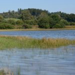 ITI0651-L-ETANG-DE-FARGES-A6313AUV063V508NJJ