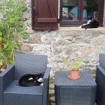 © Ayacheval - Brunet