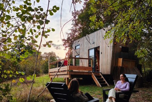 Moose - Tiny house Chaumes