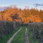 © Le Praciaux à Saint-Maigner - Van Buren Wendy