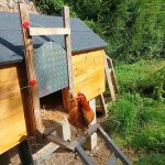 © Gite La part des Anges - Gite La part des Anges