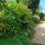 © Gite La part des Anges - Gite La part des Anges