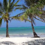 © Plage - SAS Les Globetrotteurs