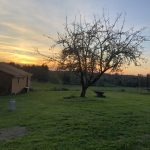 © L’Atelier de Mécanique Agricole - Carrias Murielle