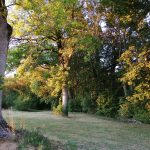 © Le Logis de l'Abeille Noire - Denis & Claudine