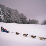 © Taïga aventure - Avice