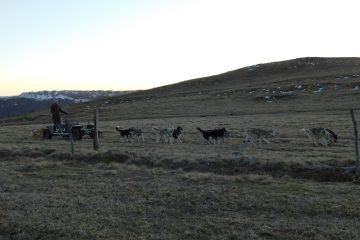 © Taïga aventure - Avice