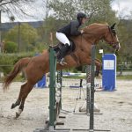 © Hippos - concours