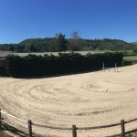 © Hippos - carrière