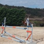 © Hippos - Détente