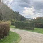 © Camping municipal - Mairie Miremont (63)