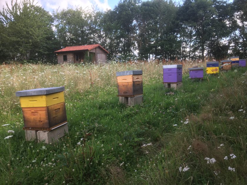 © Rucher - Muriel TIXIER