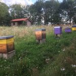 © Rucher - Muriel TIXIER