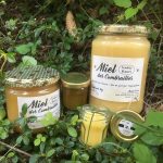 © Miel et bougies - Muriel TIXIER