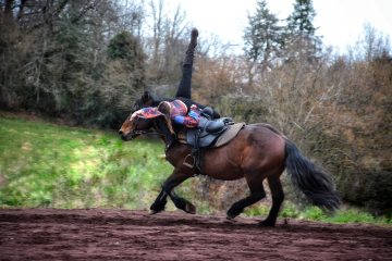 © voltige cosaque - Ninella Métégnier