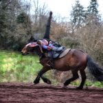 © voltige cosaque - Ninella Métégnier