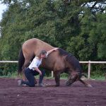 © Liberté - Ninella Métégnier