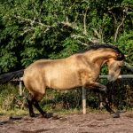 © Etalon Khan - Aurelie Terron