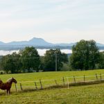 © Gite Le Ballon Bleu - Frank Schweppe