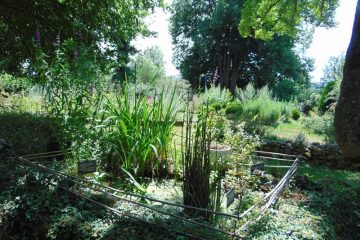 © Tisanes en Fleurs - Espinasse - Berger-Michel