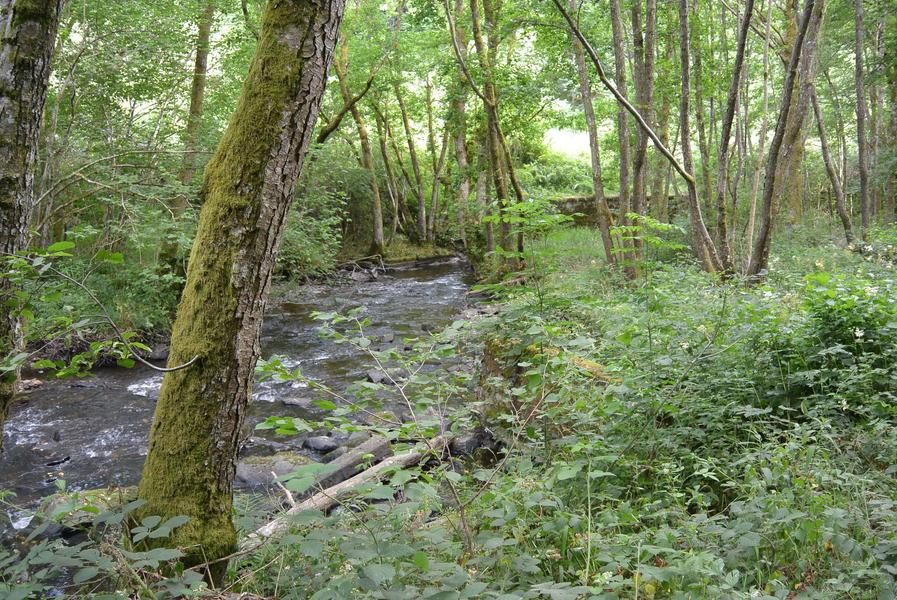 © La vallée de la Clidane_Bourg-Lastic - OT Combrailles