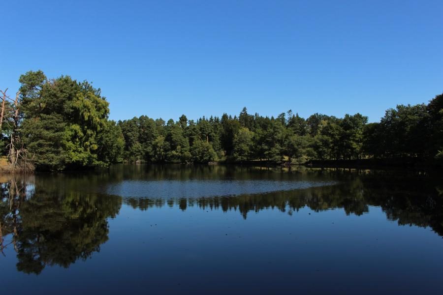 © L'étang de Gasserot_Saint-Avit - OT Combrailles