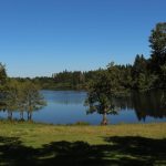 © L'étang de Gasserot_Saint-Avit - OT Combrailles