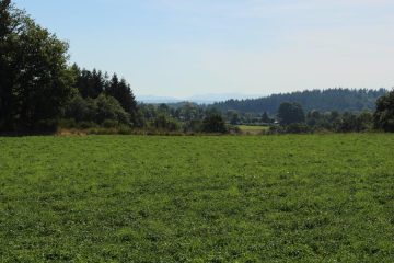 © L'étang de Gasserot_Saint-Avit - OT Combrailles